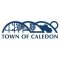 Project Manager, Capital Projects - Town of Caledon